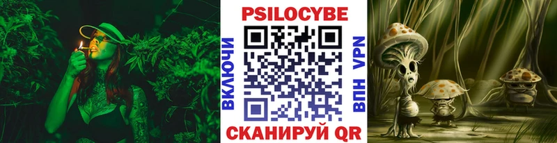 Купить  Мышкин  Псилоцибиновые грибы мицелий 